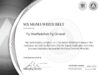 2021-02-01–Aveta–Six-Sigma-White-Belt