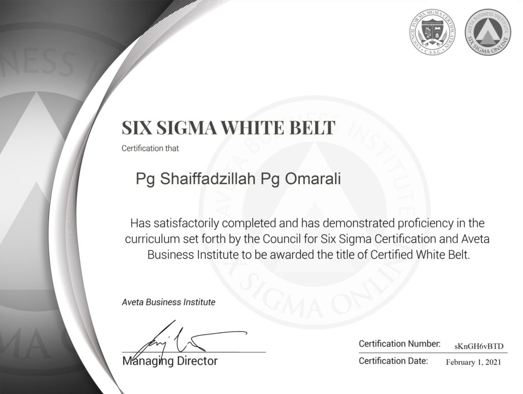 Aveta Six-Sigma White Belt