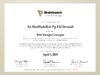 2009-04-05–BrainBench–Web-Design-Concepts conv 1
