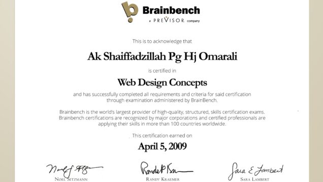 2009-04-05–BrainBench–Web-Design-Concepts conv 1