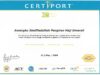 2009-05-12–Certiport–IC3 conv 1