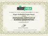 2017-11-00–MyLeanMBA–Professional-Certificate-of-Business-Administration conv 1