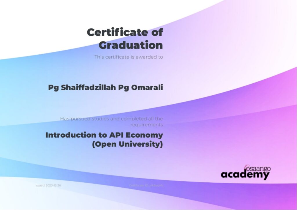 Introduction to API Economy