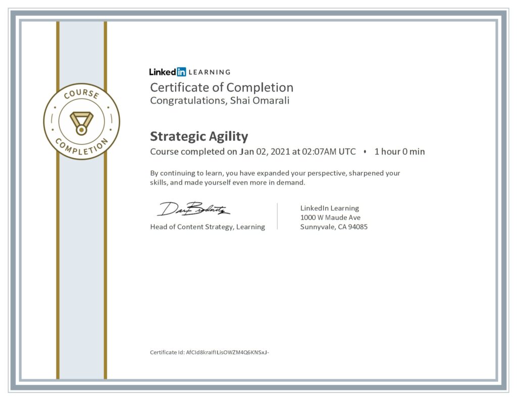 Strategic Agility