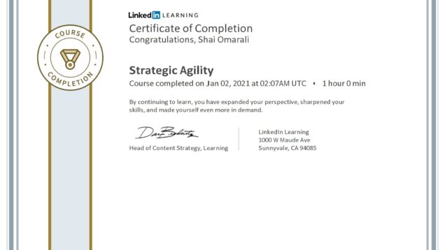 2021-01-02–LinkedIn–Strategic-Agility conv 1