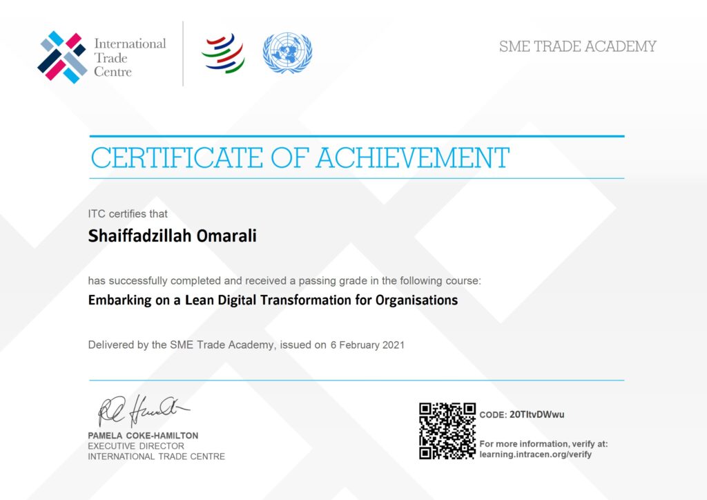 Embarking on a Lean Digital Transformation for Organizations