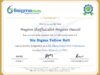 2021-02-07–6SigmaSTudy–Six-Sigma-Yellow-Belt conv 1