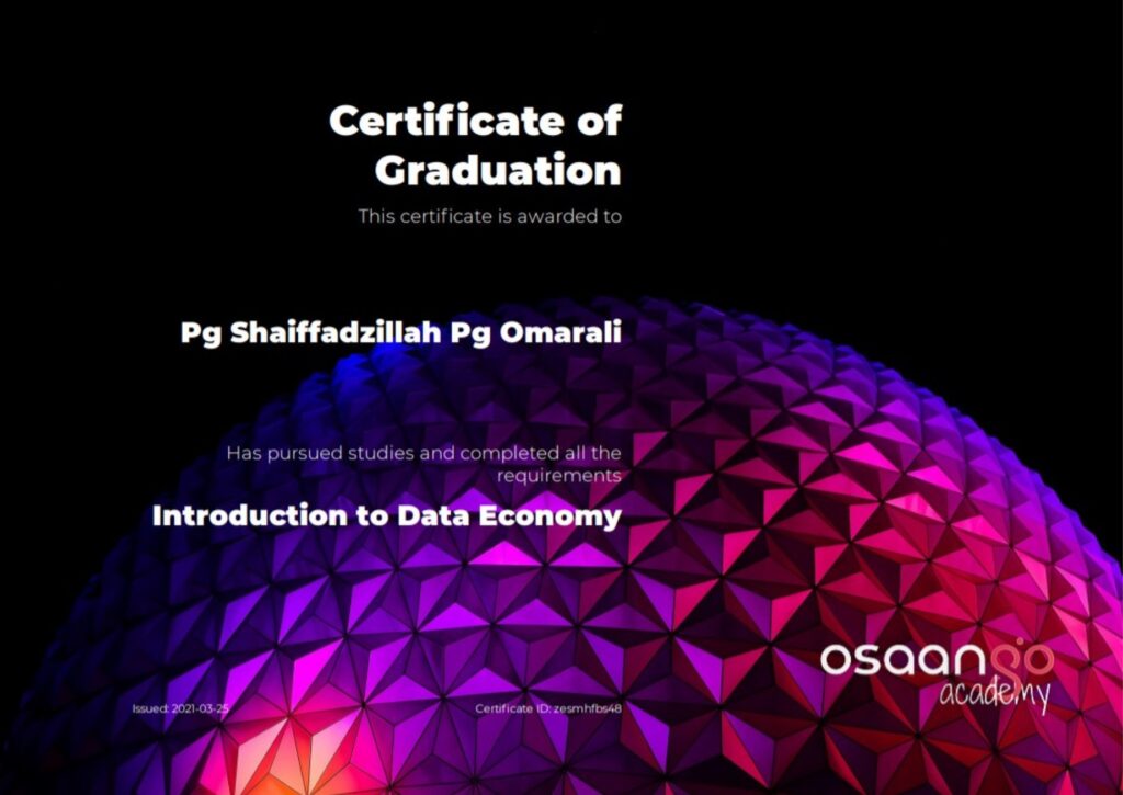Introduction to Data Economy