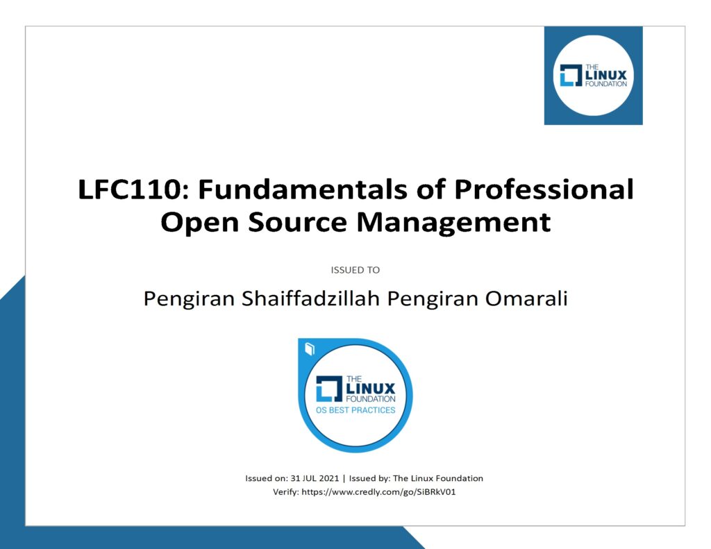 Fundamentals of Professional Open-Source Management