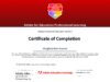2023-12-21–Adobe–Adobe-Certified-Educator-Level-2 conv 1