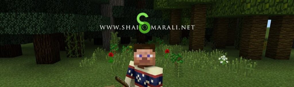Minecraft, for Educators