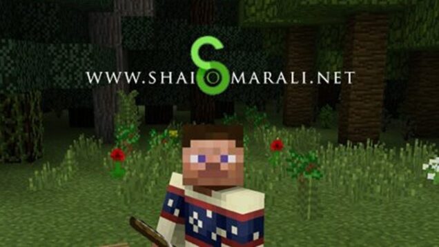 FI-MinecraftforEducation